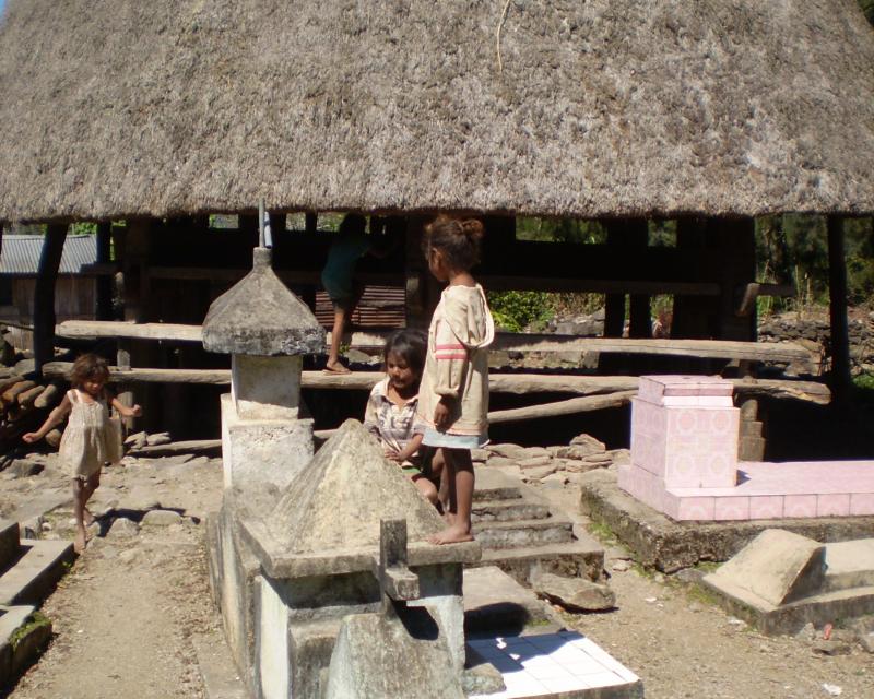 Playing among ancestors